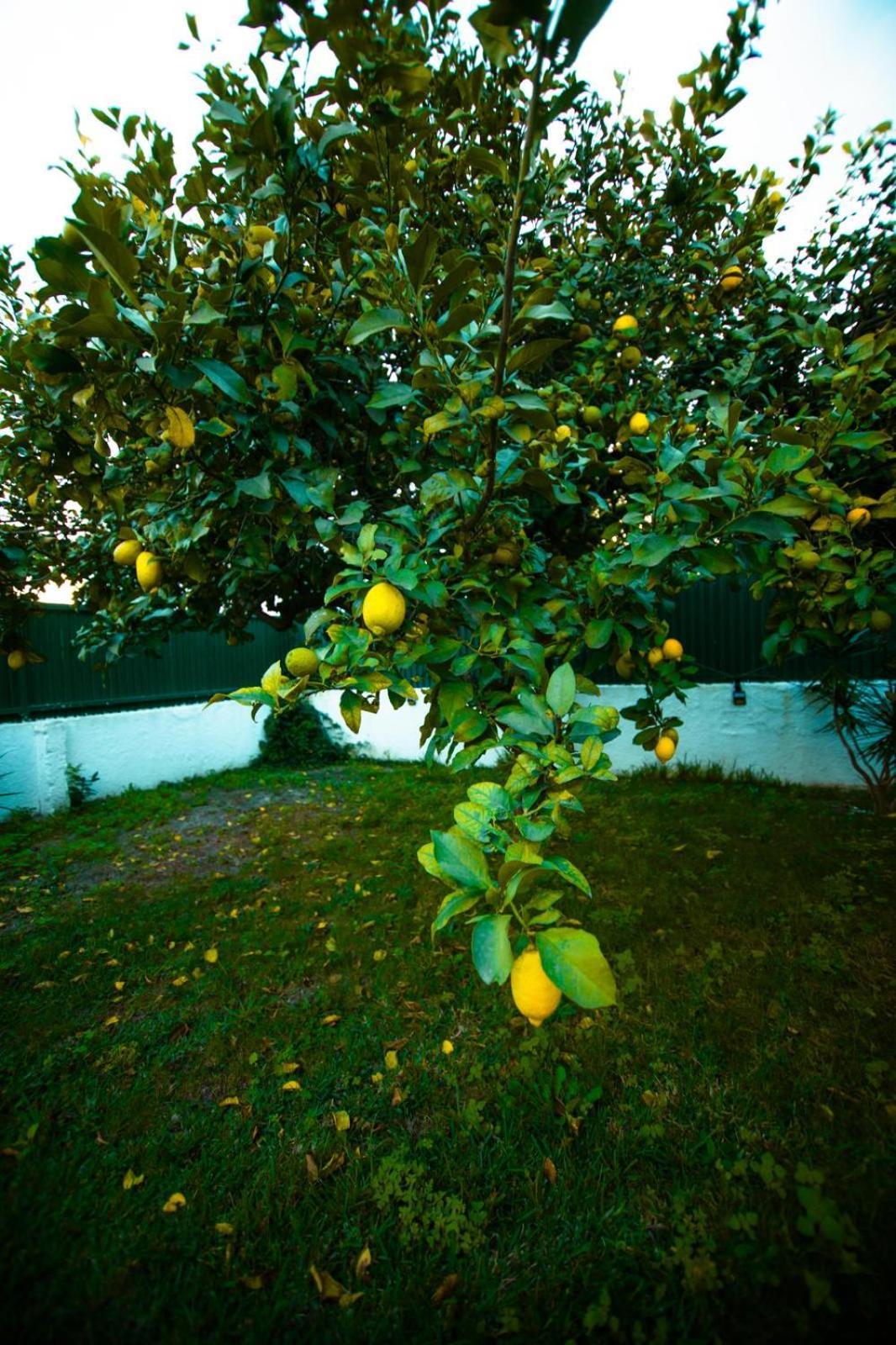 Apartmán Poolemonhouse Fernao Ferro Exteriér fotografie